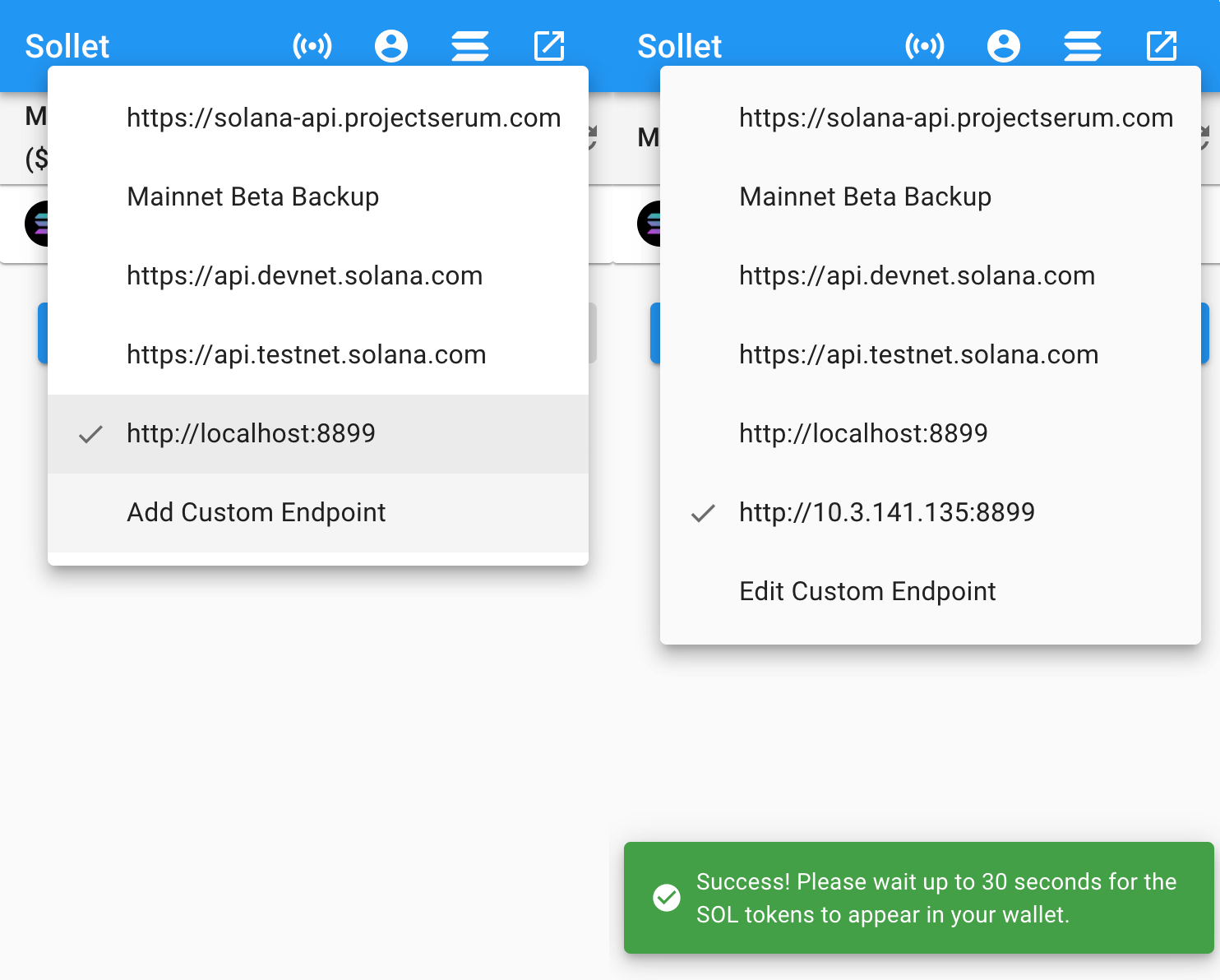 Sollet Chrome Extension: Custom endpoint